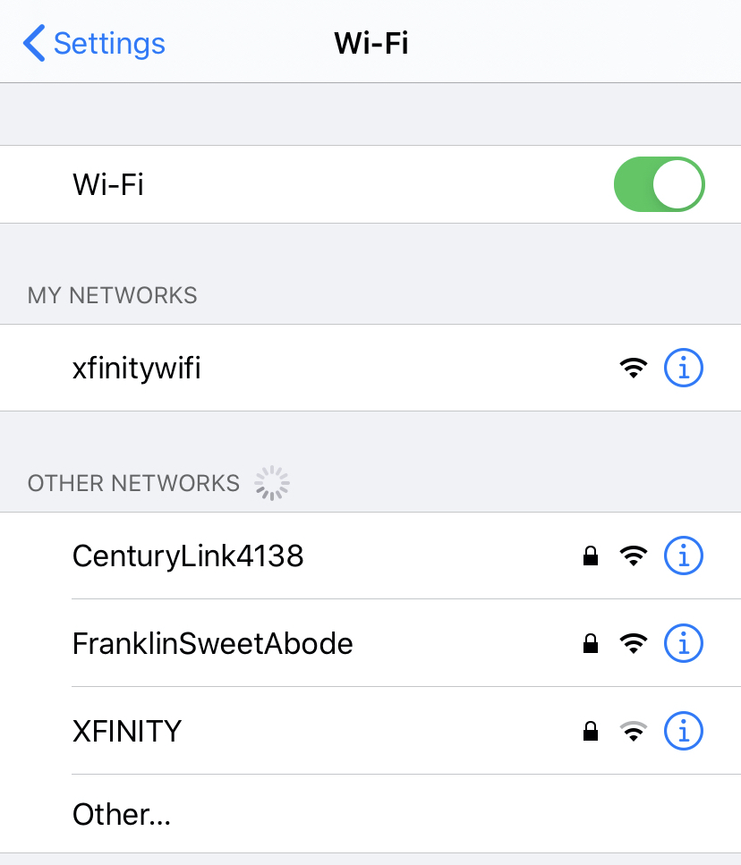 WiFi screen in Settings showing a spinner next to Other Networks