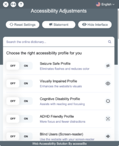 A window titled Accessibility Adjustments offering several profiles such as Cognitive Disability Profile or Blind Users profile with switches to enable each one.